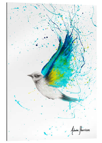 Tableau en plexi-alu Oiseau humble