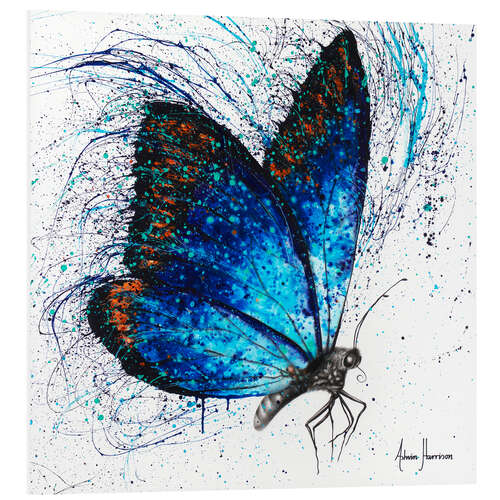 Stampa su PVC Lone Shy Butterfly