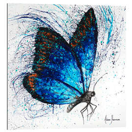 Gallery print Lone Shy Butterfly