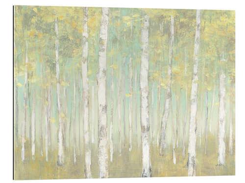 Gallery print Sylvan Birches