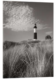 Akrylbilde  Big Sable Point Lighthouse I - Alan Majchrowicz