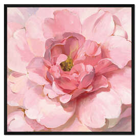 Gerahmter Kunstdruck Rosafarbene Pfingstrose