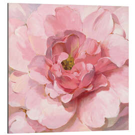 Magnettafel Rosafarbene Pfingstrose