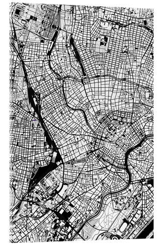 Akryylilasitaulu City map of Vienna