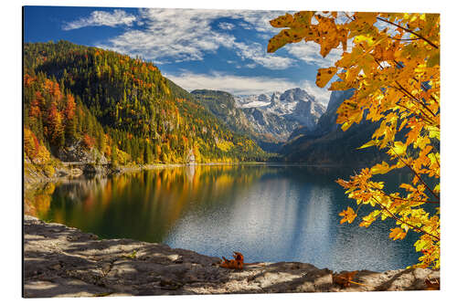 Aluminiumsbilde Autumn splendor at the Gosausee