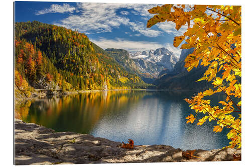 Gallery Print Herbstpracht am Gosausee