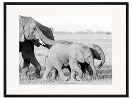 Gerahmter Kunstdruck Elefanten wandern