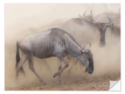 Sisustustarra Dusty wildebeest migration