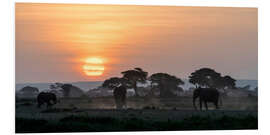 Foam board print Elephants and acacia trees