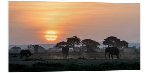 Gallery print Elephants and acacia trees