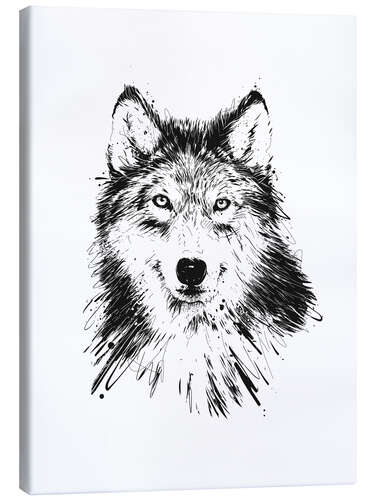 Canvas print Wolf