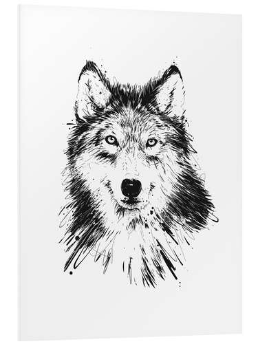 Tableau en PVC Loup