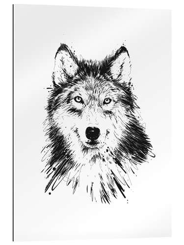 Galleriprint Wolf