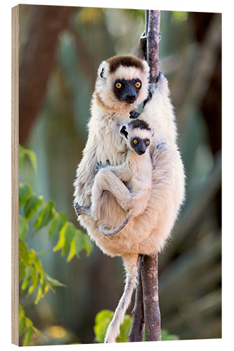 Holzbild Sifaka mit ihrem Baby