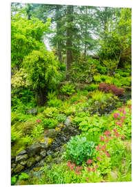 Foam board print Japanese garden with brook