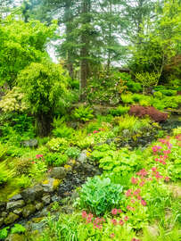 Magnettafel Japanischer Garten mit Bach