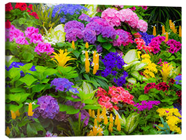 Canvastavla Colorful planting of flowers