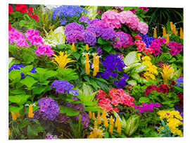 Foam board print Colorful planting of flowers