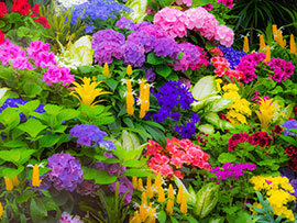 Magnettafel Bunte Pflanzung von Blumen