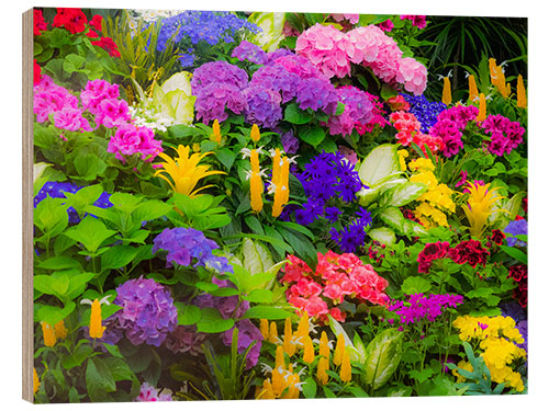 Wood print Colorful planting of flowers