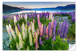 Wall sticker Lupine at Lake Tekapo III