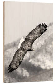 Wood print Sea eagle