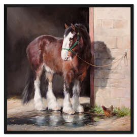 Gerahmter Kunstdruck Shire Horse