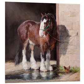 Foam board print Shire Horse