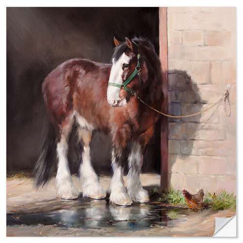 Wall sticker Shire Horse