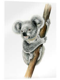 Akryylilasitaulu Koala