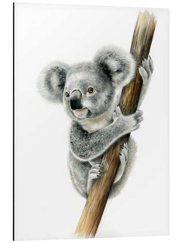 Tableau en aluminium Koala