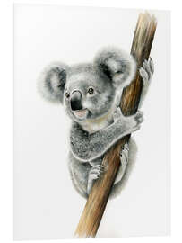 Foam board print Koala