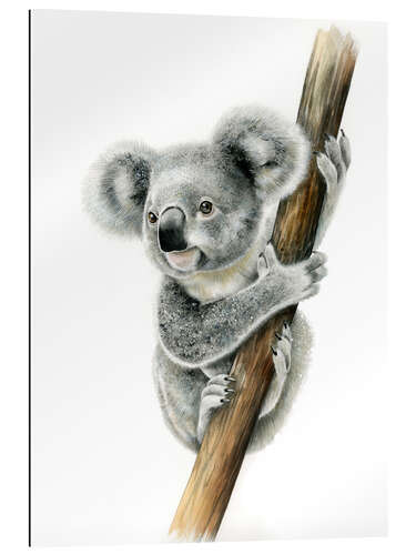 Gallery print Koala