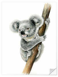 Wall sticker Koala