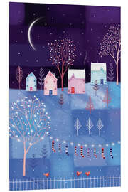 PVC print Winter night