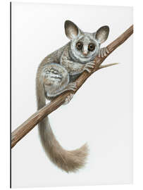 Magnettafel Buschbaby