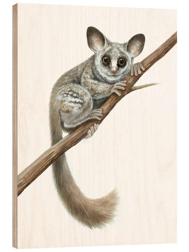 Wood print Bush babiy