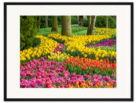 Gerahmter Kunstdruck Lisse im Frühling