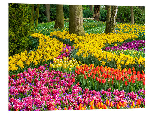 Gallery Print Lisse im Frühling