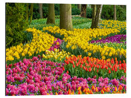 Magnettafel Lisse im Frühling