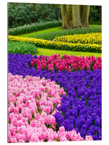 Gallery print Garden in Lisse