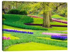 Tableau sur toile Jardin à Lisse