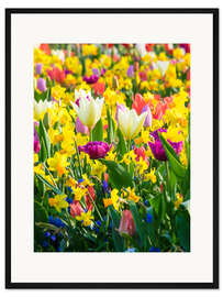 Gerahmter Kunstdruck Mehrfarbige Blüten im Frühling