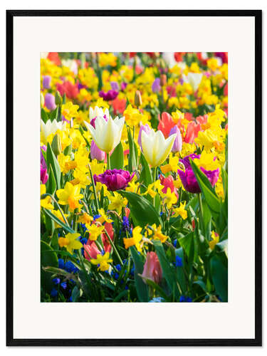 Impressão artística com moldura Flores coloridas na primavera