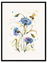 Framed art print Cornflower &amp; Bumblebee