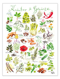 Poster  Herbs and spices (german) - Andreas Hirsch