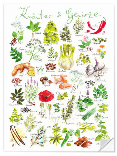 Wall sticker Herbs and spices (german)