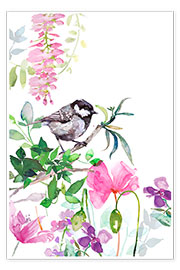 Poster The little tit