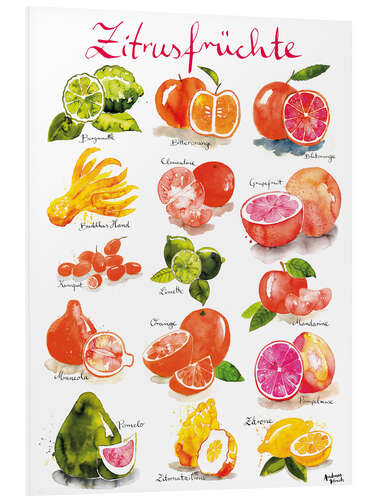 Bilde på skumplate Citrus fruits (German)