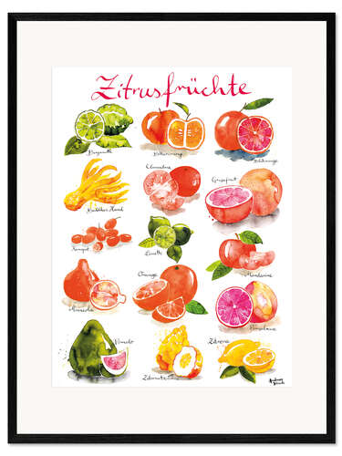 Ingelijste kunstdruk Citrus fruits (German)